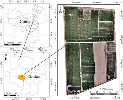 Inversion of winter wheat leaf area index from UAV multispectral images: classical vs. deep learning approaches